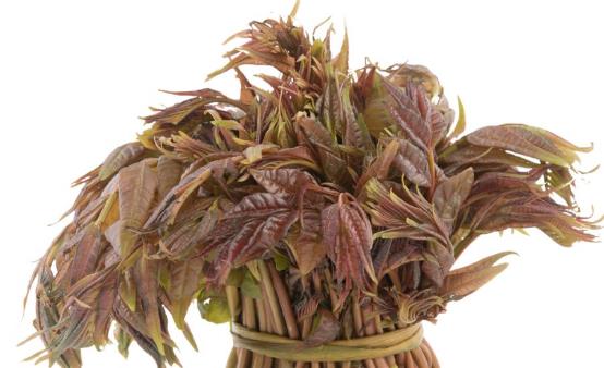 香椿芽的功效与作用 香椿的食用方法-八凡集