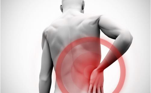 养肾的5大黄金法则 养肾食物大杂烩推荐-八凡集