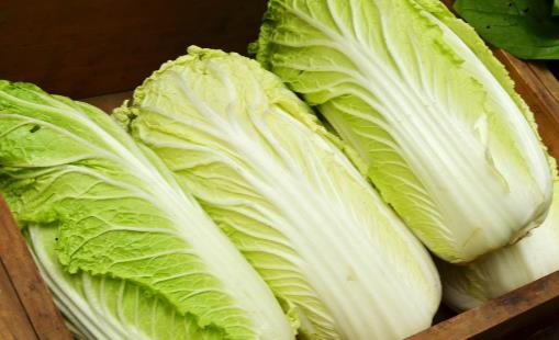 挑选大白菜时菜叶上长了小黑点 这样的白菜能不能吃-八凡集