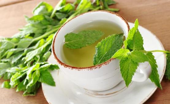 薄荷草泡水喝的功效 薄荷泡水喝的禁忌-八凡集