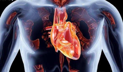 心肺好更健康更长寿 能够促进心肺功能的运动-八凡集