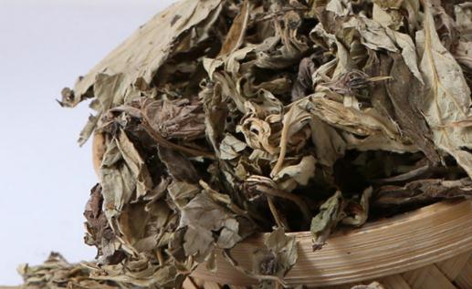 湿疹用艾草泡澡需要用清水再洗一遍吗 为什么湿疹洗艾草越洗越痒-八凡集