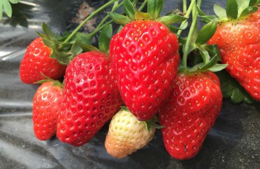 20个保存食物的小妙招 保证让你受用无穷-八凡集