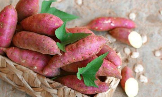 常吃红薯预防动脉硬化冠心病 吃红薯的禁忌-八凡集