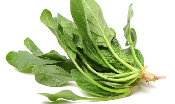 菠菜被推崇为十大养颜美肤食物之一 吃菠菜的禁忌-八凡集