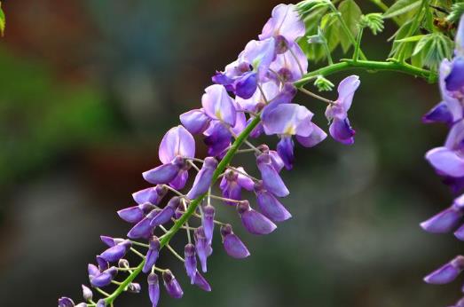 6款长假调身汤 让疲惫的你满血复活-八凡集