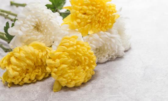 清明时节如何养生