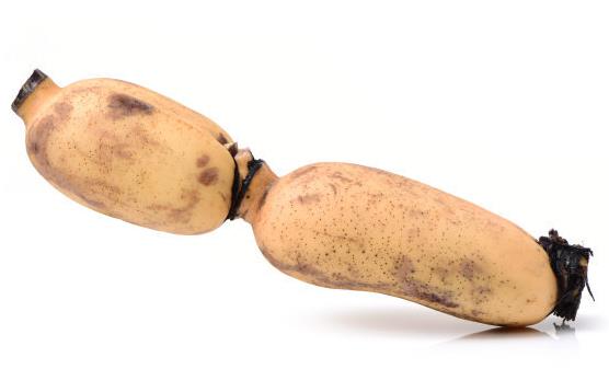 莲藕的滋补作用 推荐莲藕的2款食用方法-八凡集