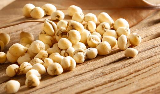 川贝熬久了药性会挥发吗 川贝母治疗热咳还是寒咳-八凡集