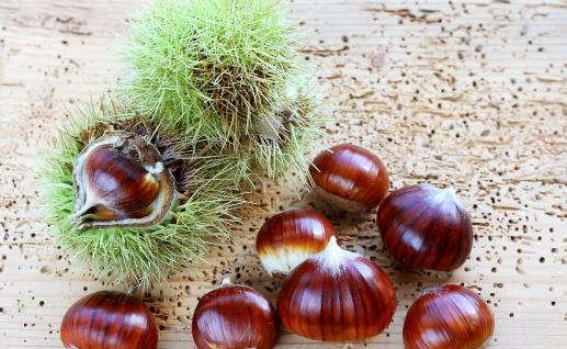 如何巧妙给板栗去皮-八凡集