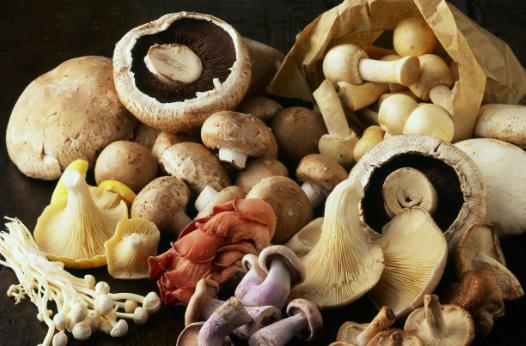 20个保存食物的小妙招,保证让你受用无穷!