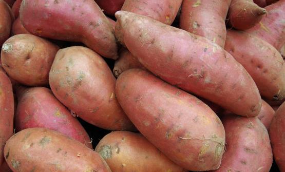 食用蔬菜来改善身体疾病 看看这些蔬菜的神奇之处吧-八凡集