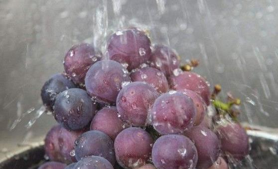 清洗葡萄的小技巧 洗出的葡萄干净好吃-八凡集