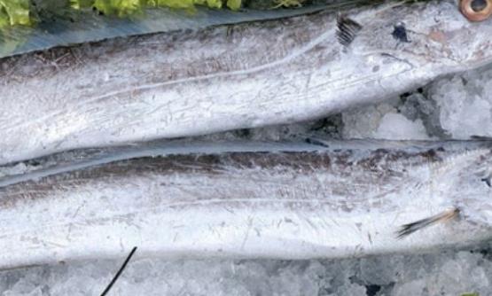 带鱼的清洗方法 带鱼好吃又简单的做法-八凡集