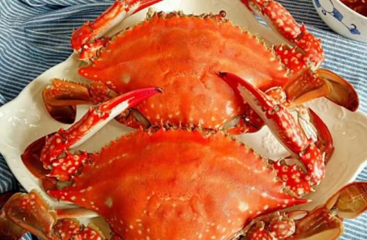螃蟹加热需要多久 螃蟹过夜吃了拉肚子怎么办-八凡集
