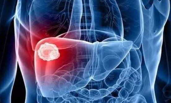 保护肝脏的9个关键点 防范“天敌”来护肝-八凡集