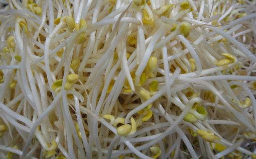 挑选新鲜的蔬菜小妙招 再也不用担心会被菜贩骗-八凡集