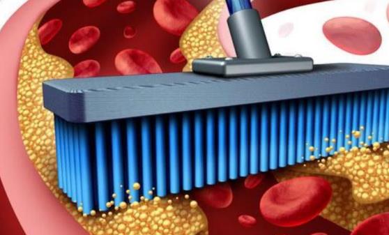 蔬菜清理血管垃圾 食疗调理效果最佳-八凡集