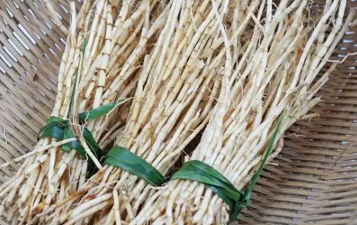 白茅根的功效与作用 茅根水的做法-八凡集