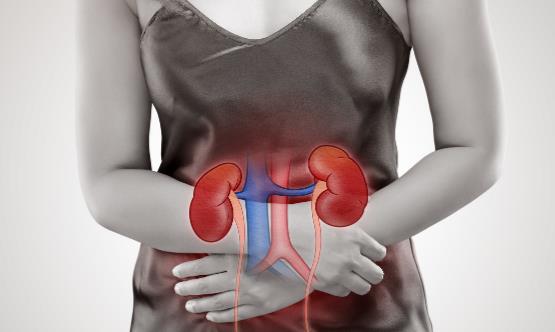 什么习惯会让肾脏提前衰老 如何让你的肾更加健康-八凡集