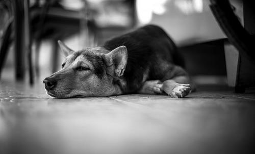 生活懒散竟也有那么多危害!