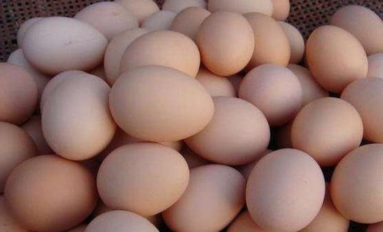 生活中容易入坑的10个小常识 信了你就输了-八凡集