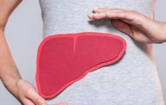 血瘀会影响月经吗 血瘀会导致发胖吗-八凡集