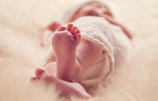 明确胎儿心脏发育的过程 让你的胎儿远离先天性心脏病-八凡集