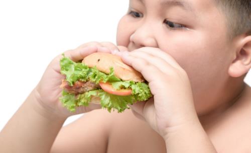 儿童期肥胖不断增加 三个年龄段要警惕小儿发胖趋势-八凡集