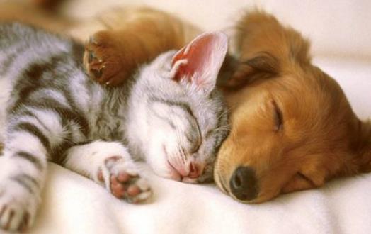 不想生出畸形宝宝 这些事情就别做-八凡集