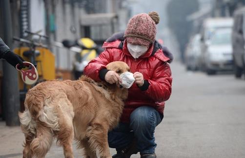 哪种情况下需要戴口罩-八凡集