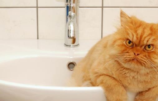 强迫性神经症有哪些症状-八凡集