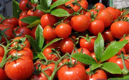 男性备孕 可以提高精子质量的食物-八凡集