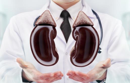 男性早起疲惫说明肾脏出问题 喝酒太多增加肾脏负担-八凡集