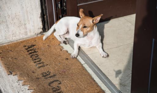 细菌入侵危害身体 十大容易出现细菌的地方-八凡集