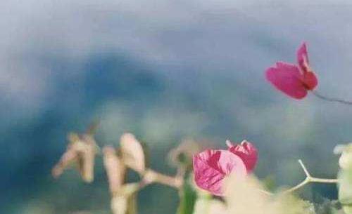 一定要坚持这些卫生习惯-八凡集