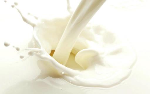 这十款食物 是不可多得的孕期补钙佳品-八凡集