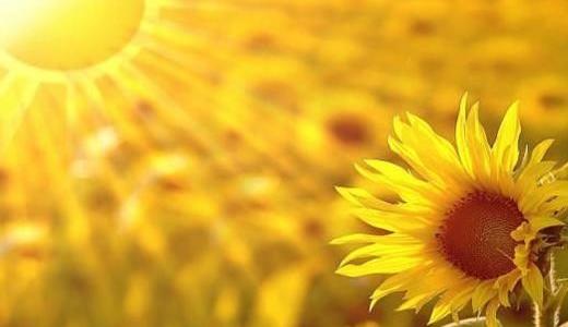 心思敏感的人该如何克服自己的心态-八凡集