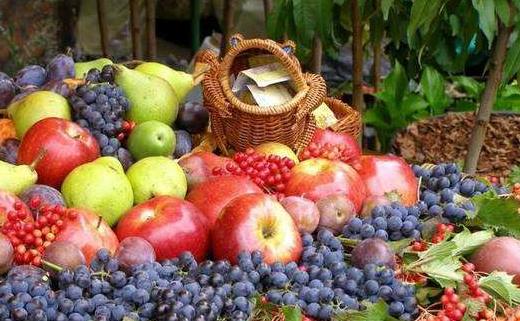 每天使用电脑伤眼睛 上班族保护眼睛的窍门