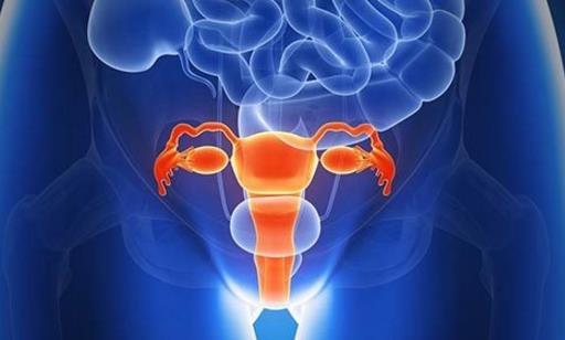 先天性无阴道的治疗方法 先天性无阴道造成的危害-八凡集