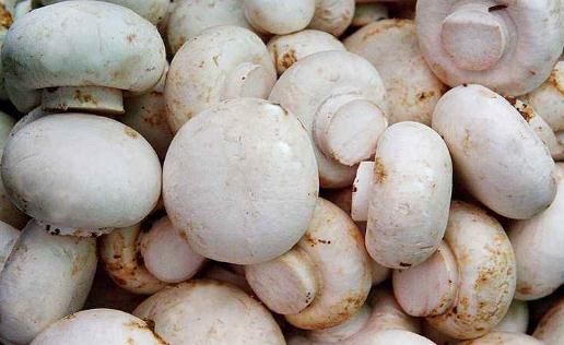 女性秋冬如何养阴 入秋女性进补九大忌-八凡集