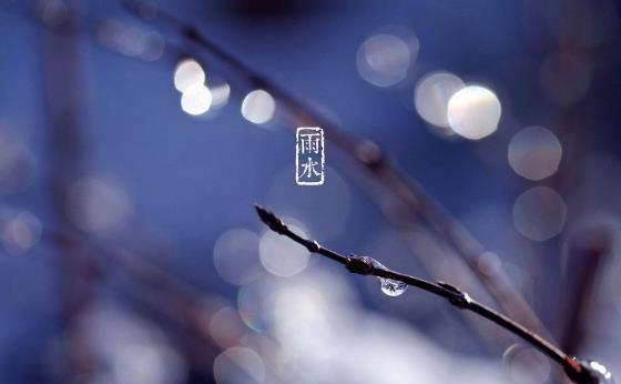 2019年雨水节气是农历几月几日 2019年雨水时间-八凡集