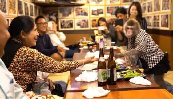 日本最火爆的餐厅之一 猴子当服务生，报酬只要香蕉-八凡集