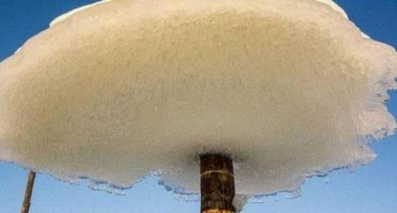 俄罗斯干干净净的水库 一夜之间突然出现“冰蘑菇”-八凡集