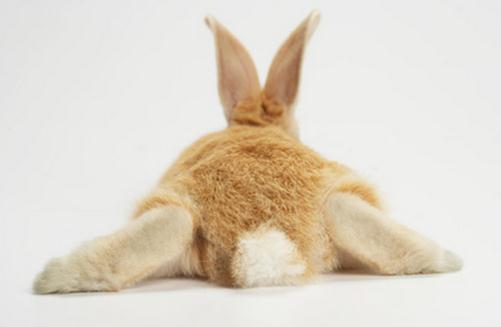 阴险小人面相，认准了-八凡集