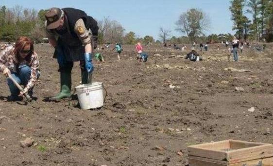 世界最土豪公园钻石坑遍地是钻石 游客挖到可带走-八凡集