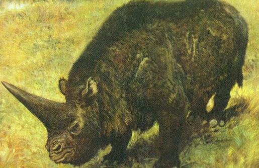 大揭秘:史前动物你知道多少?-八凡集