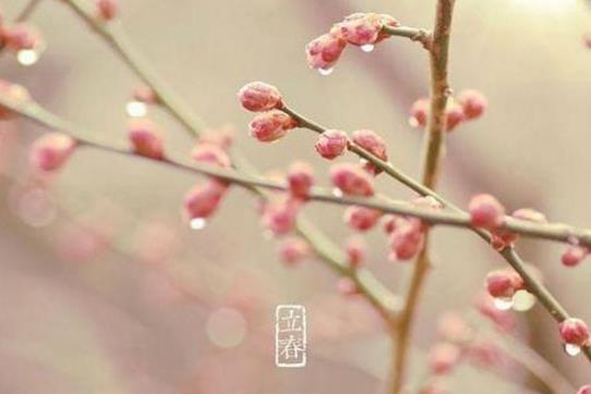 2019年立春是农历几月几日 2019年立春时间-八凡集