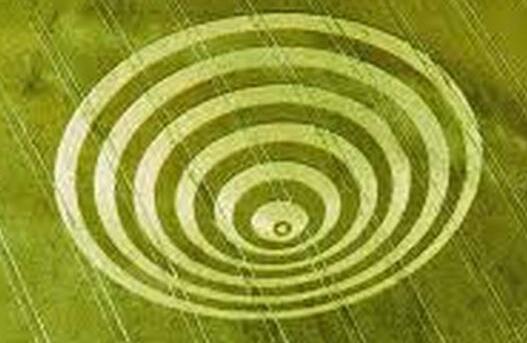 麦田怪圈的真相-八凡集