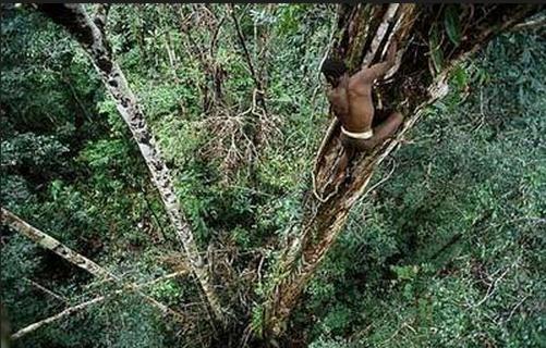 世界上，最后的石器时代-八凡集